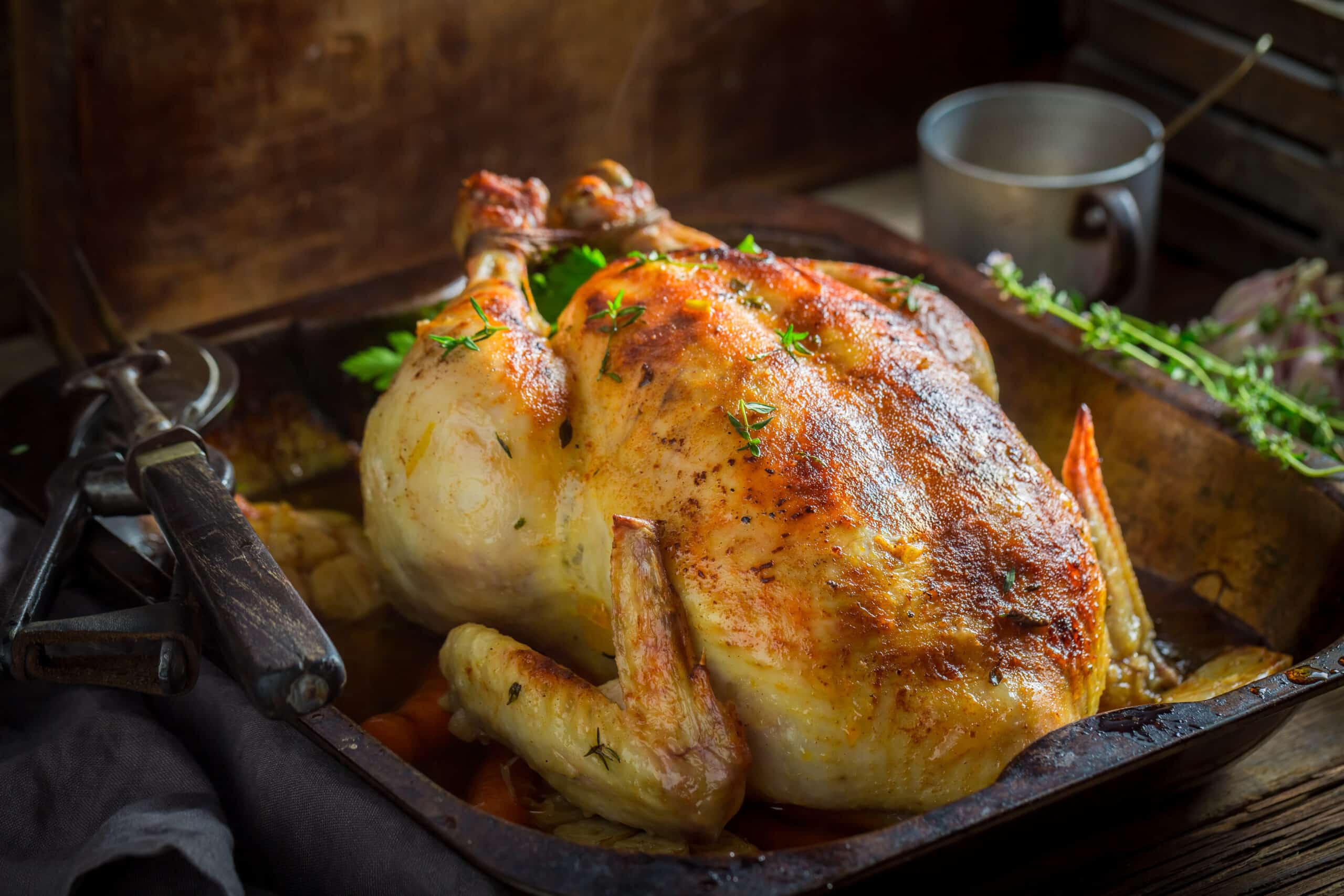 Kakvu piletinu jedemo i gde se može naći pileće meso bez antibiotika? 2