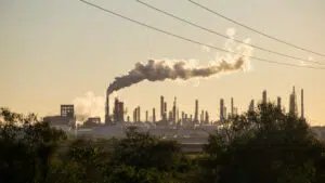 UNEP: Svet troši 30 puta više novca na uništavanje prirode nego na njenu zaštitu 11 UNEP: Svet troši 30 puta više novca na uništavanje prirode nego na njenu zaštitu 8