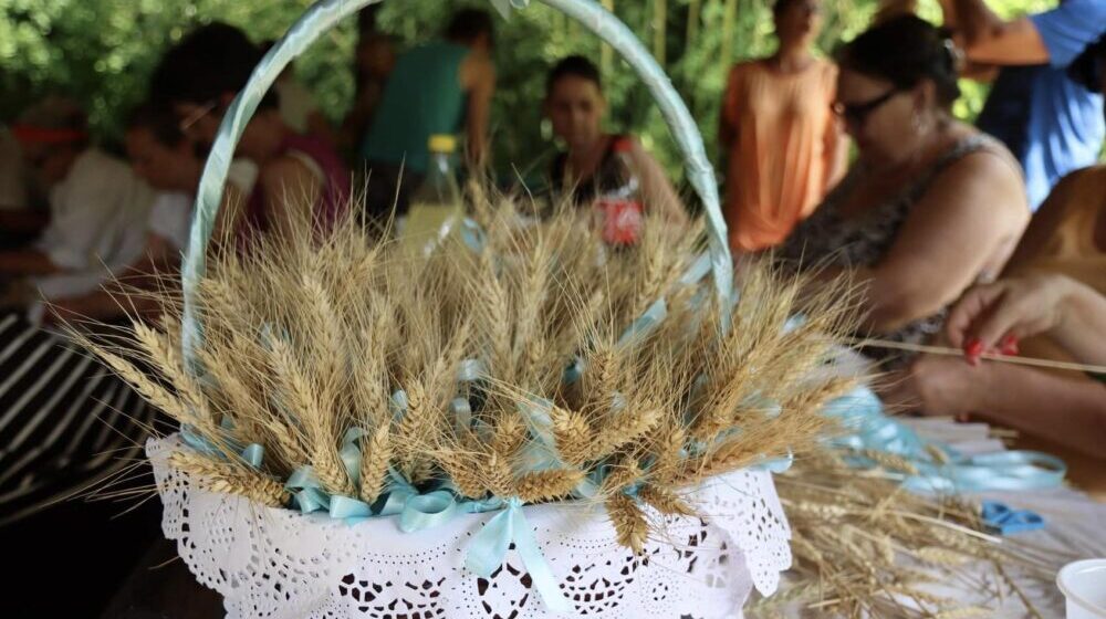 Subotica: Uoči nacionalnog praznika Bunjevaca održana radionica pletenja slame 1