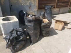 smeće 4 Zrenjaninci muku muče sa otpadom i manjkom kontejnera 2