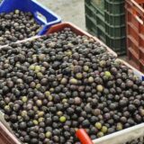 Gde se nalaze pijace u Grčkoj i kojim danima ih možete posetiti 10