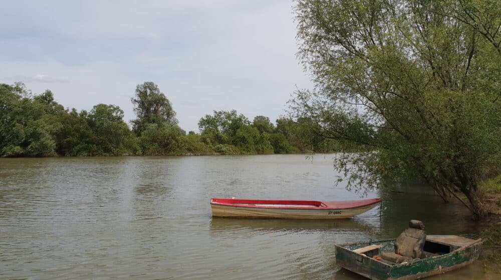 Tamiš najčistija reka za kupanje u srednjem Banatu 1