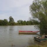 Tamiš najčistija reka za kupanje u srednjem Banatu 11