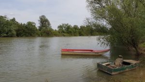 Upozorenje RHMZ: Ledostaj na reci Tamiš 1