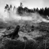 Šta su zombi požari i kako se vatrogasci bore protiv njih? 1