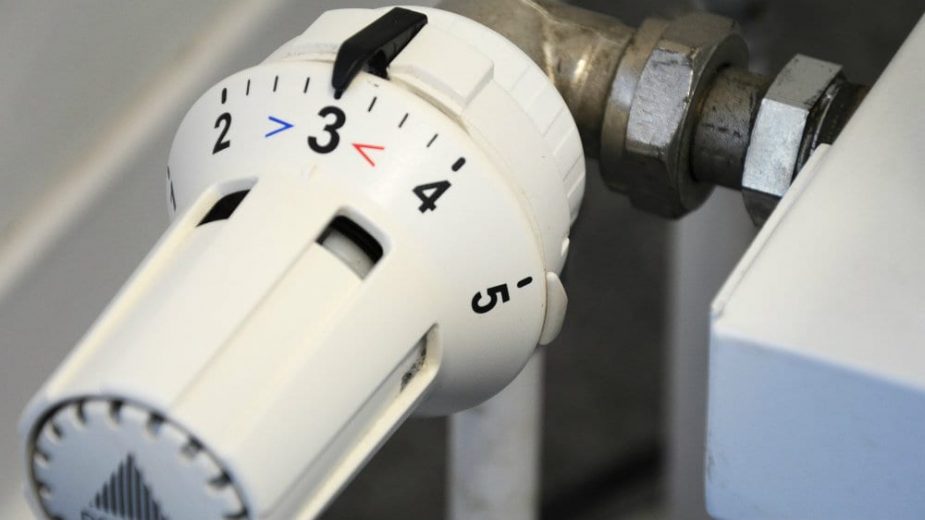 Centar za kulturu u Despotovcu prelazi na sistem grejanja toplane na biomasu 1