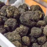 U Siriji u eksploziji mine poginulo 19 berača tartufa 8