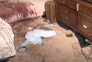 "Dobili su šta su zaslužili": Kralj pornografije bio umešan u brutalno ubistvo - kako je uspeo da izbegne kaznu 3 "Dobili su šta su zaslužili": Kralj pornografije bio umešan u brutalno ubistvo - kako je uspeo da izbegne kaznu 3