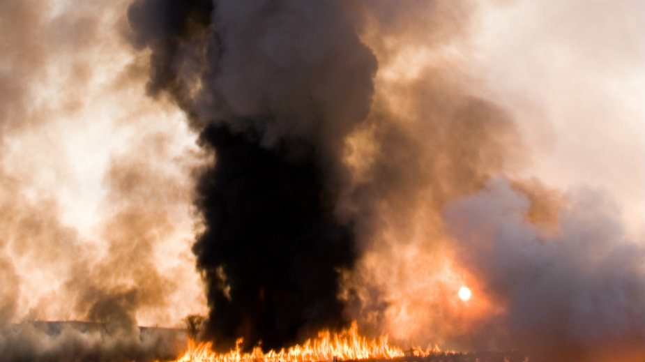 LSV: Apokaliptične scene požara na Vršačkom bregu, koga nisu gasili avioni 1