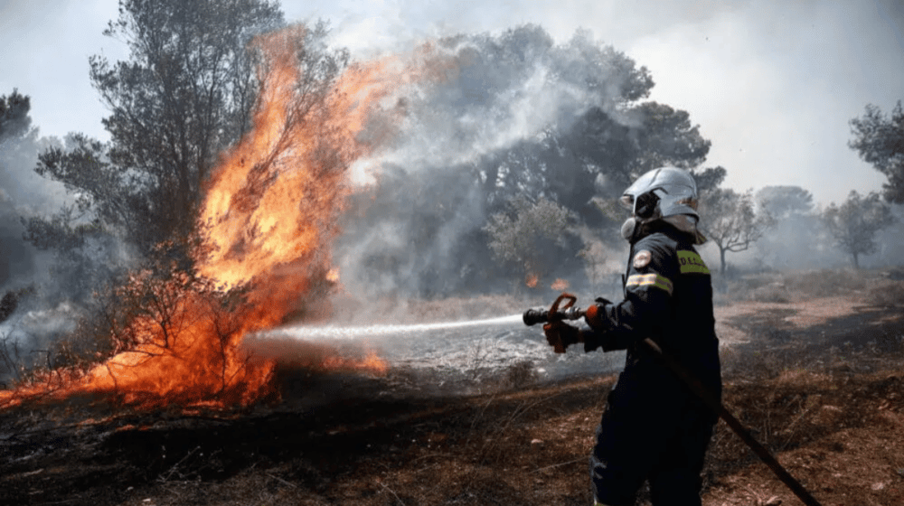 Vatrogasci: Odbranjene kuće na Hvaru, povoljnije stanje na požarištu 16