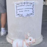 Osvanula umrlica srpskom stočarstvu na zgradi Banovine 5