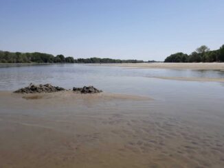 (FOTO) Kad Dunav "nestane": Nepregledni peščani sprudovi na Oficircu, Novosađani se osećaju kao na Kubi 2