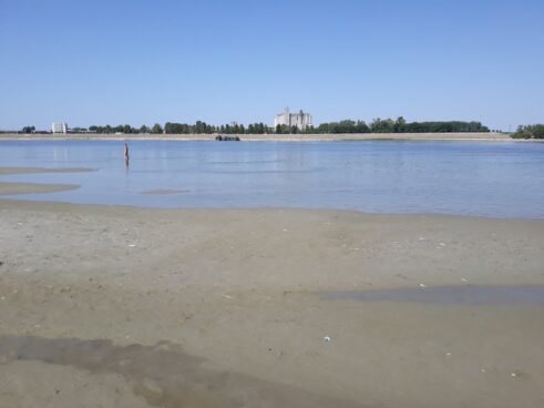 (FOTO) Kad Dunav "nestane": Nepregledni peščani sprudovi na Oficircu, Novosađani se osećaju kao na Kubi 11