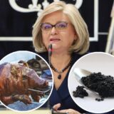 „Zabraniti sva slavlja sa više od dva lica i jednog krompira po osobi“: Kako je Internet reagovao na izjavu guvernerke Tabaković? 9