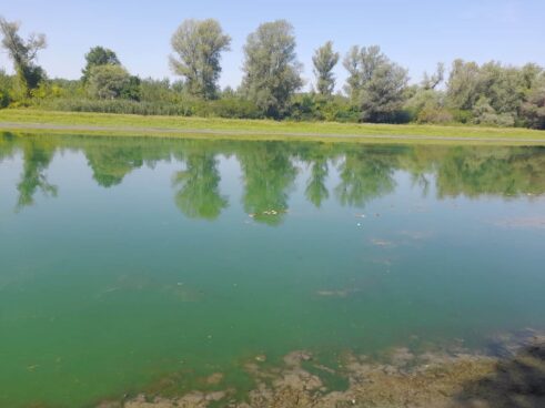 Uništen čitav riblji fond Aradačkog Ajlaša koji se, da je bilo volje, mogao spasiti 8