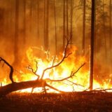 Požari južno od Moskve se šire, vatrgoascima teško da ih zaustave (VIDEO) 2