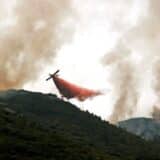 Šumski požar u Valensiji van kontrole, angažovano 35 protivpožarnih aviona 9