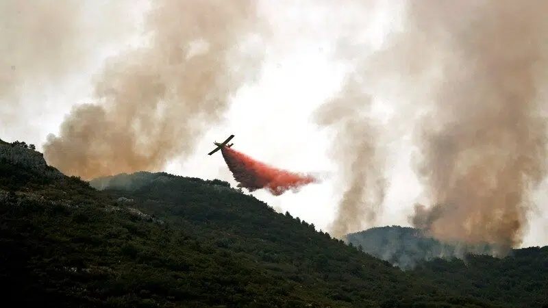 Šumski požar u Valensiji van kontrole, angažovano 35 protivpožarnih aviona 1
