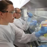 Kineski istraživači predlažu novu strategiju lečenja gubitka koštane mase 14