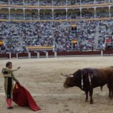 borbe sa bikovima spanija