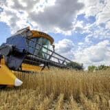 Posle više od šest meseci u Afriku stigla prva isporuka ukrajinskih žitarica 11