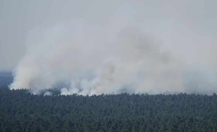 Izbio požar na Svetoj Gori, gase ga četiri kanadera i više od 40 vatrogasaca 1