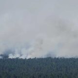 Izbio požar na Svetoj Gori, gase ga četiri kanadera i više od 40 vatrogasaca 7