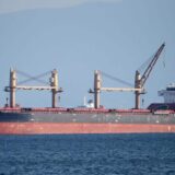 ukrajina brod zitarice