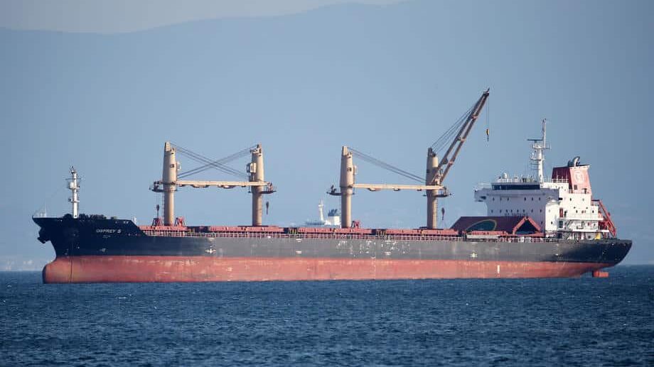 Borelj u autorskom tekstu za Gardijan: "Putin koristi hranu kao oružje, ali njegovi cinični pokušaji da silom privuče saveznike će propasti" 2 ukrajina brod zitarice