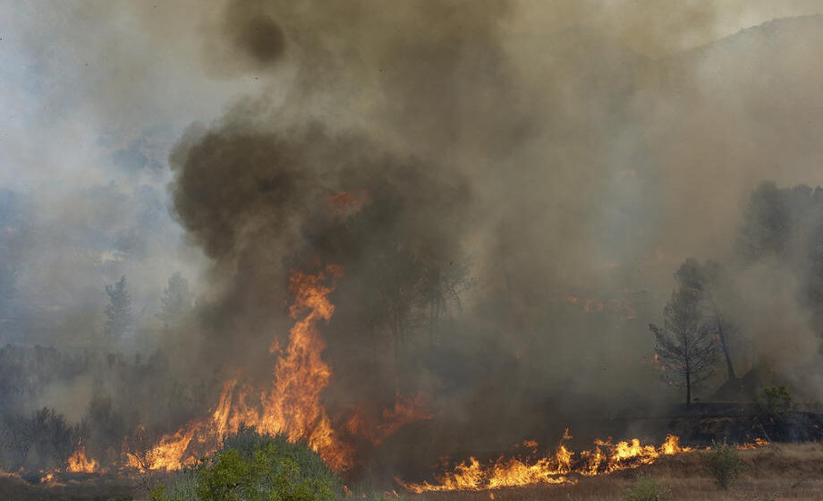 Bukte tri požara u Istri, angažovani i kanaderi 1