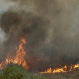 Bukte tri požara u Istri, angažovani i kanaderi 11