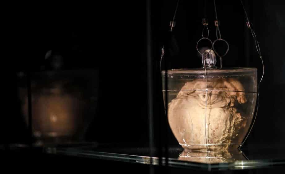 Balzamovano srce prvog cara Brazila vraćeno u zemlju povodom dvestogodišnjice proglašenja nezavisnosti 1