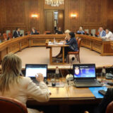 Ko pristaje da bude ruska, kineska i američka ikebana u Vladi a čiji bi igrači mogli da budu Mali, Dinkić, Vulin i Tomislav Nikolić? 4