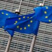 EU flags