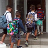 Kako roditelji ocenjuju obrazovanje svoje dece: Uči se napamet i za ocenu, "cvetaju" privatni časovi 4