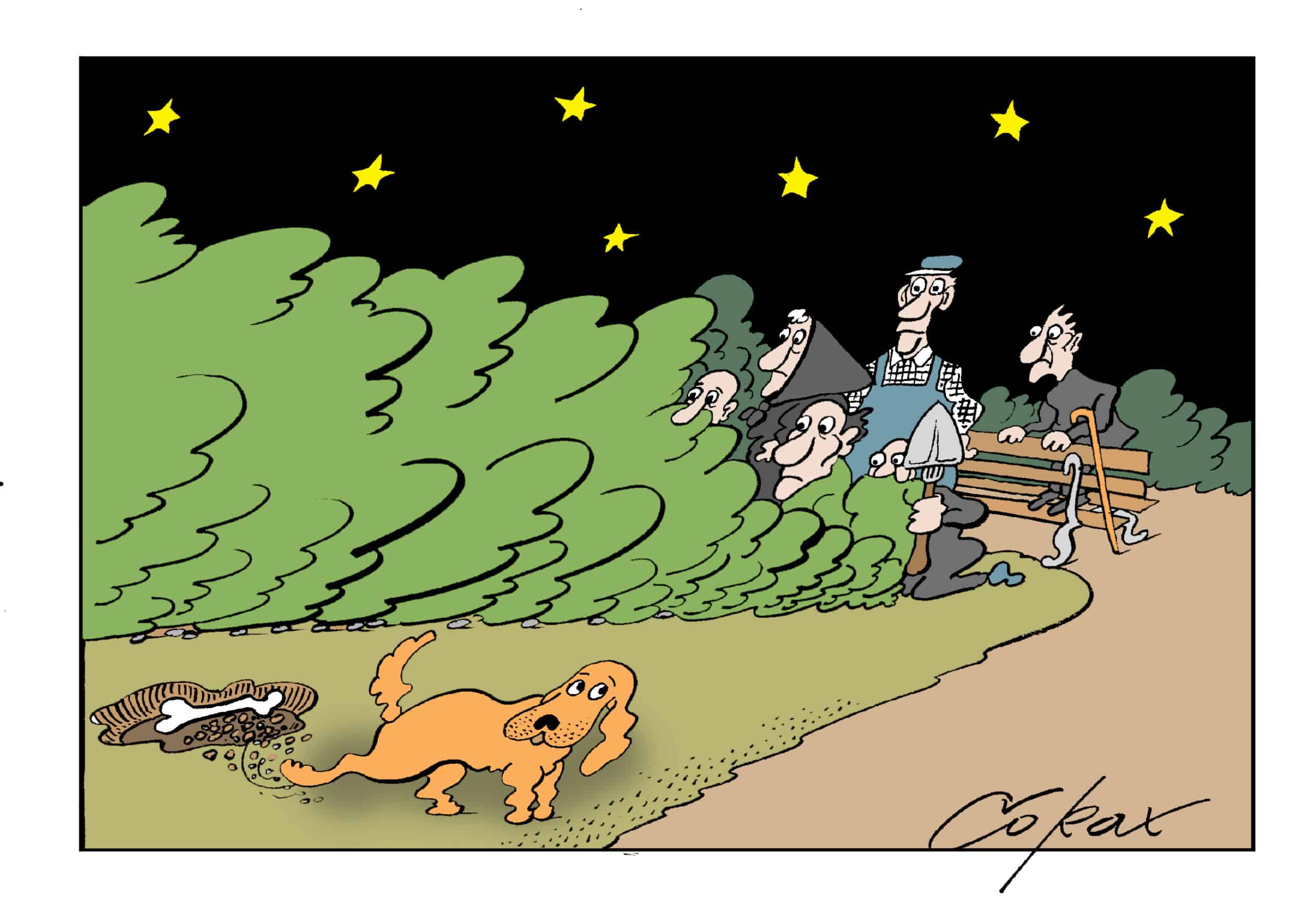 Corax 3