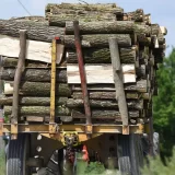 Kakvo je stanje sa peletom, i na šta ćemo se grejati ove zime? 12