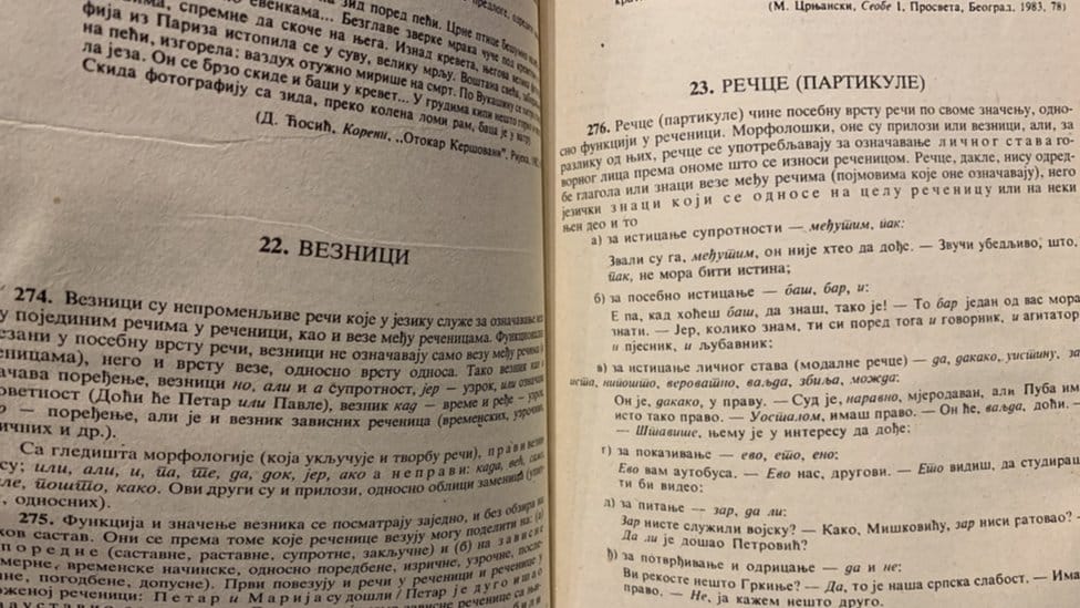 Međunarodni dan pismenosti i Srbija: Zašto su važni časovi srpskog jezika i kako utiču na pismenost đaka 2 Gramatika