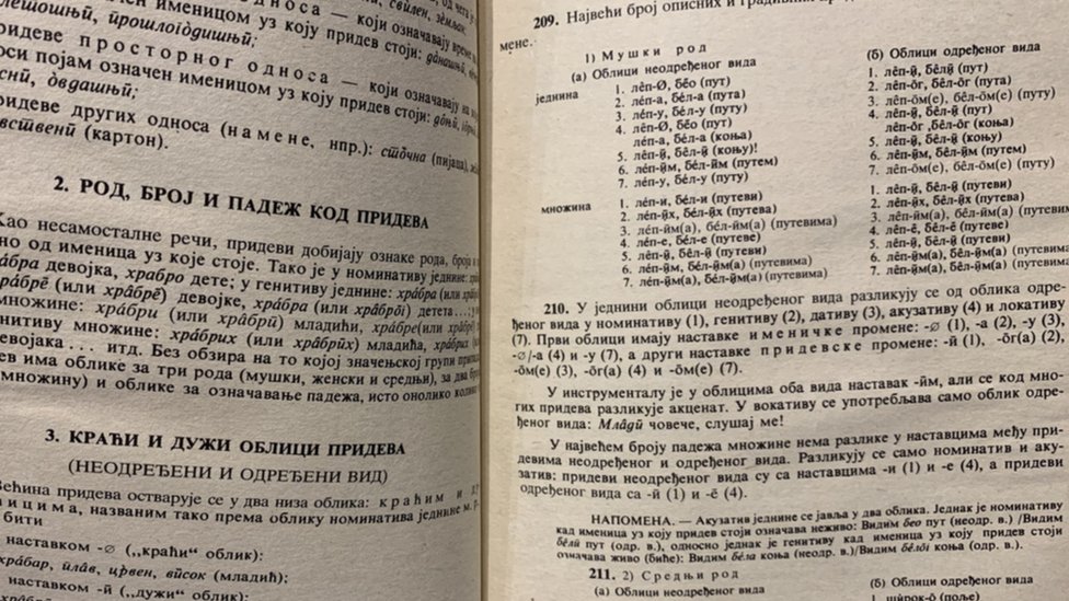 Međunarodni dan pismenosti i Srbija: Zašto su važni časovi srpskog jezika i kako utiču na pismenost đaka 4 Gramatika