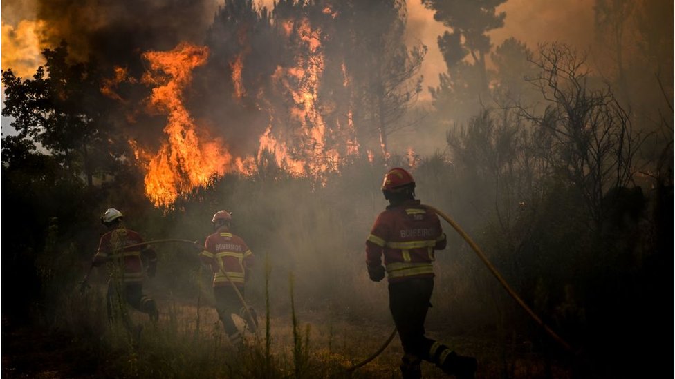 Klimatske promene: Leto 2022. godine najtoplije u Evropi od kada postoje merenja 2 fire