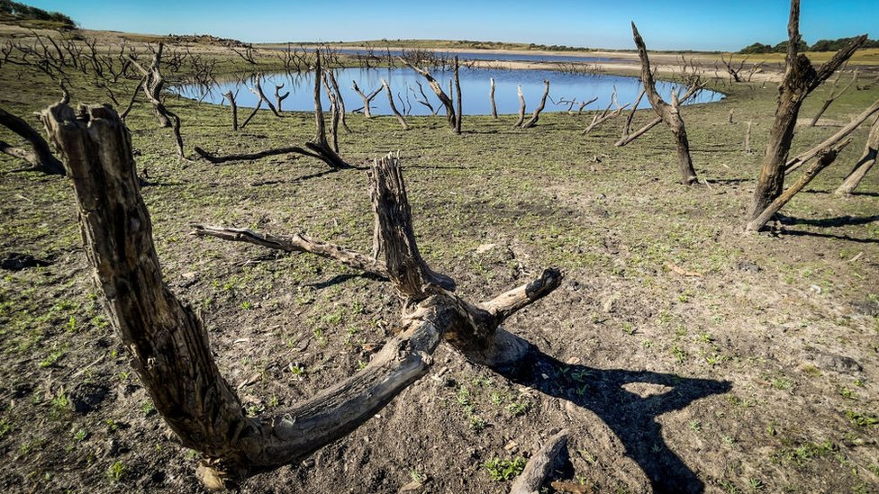Klimatske promene: Leto 2022. godine najtoplije u Evropi od kada postoje merenja 3 drought
