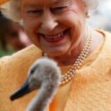 Kraljica Elizabeta Druga: Od labudova i delfina do londonskih ulica - šta je sve kraljica ostavila Čarlsu 8