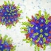Zdravlje: Ispitivanje virusa koji ubija ćelije raka dalo obećavajuće rezultate 13