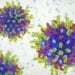 Zdravlje: Ispitivanje virusa koji ubija ćelije raka dalo obećavajuće rezultate 19