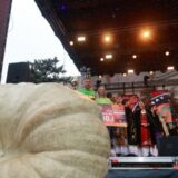 Na Danima ludaje u Kikindi oboren rekord sa tikvom od 716 kilograma 9