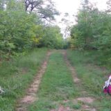 "Pogrebni venci na kući novinara Dukića su zastrašivanje i pretnja" 10