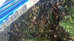 Smeće na obali Vranjske reke, nedaleko od Medicinske škole 2