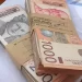 Kad Srbija duguje novac, poverioci moraju da čekaju po četiri meseca na naplatu: Zašto država krši rokove koje je sama zakonima propisala? 8