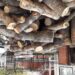 Mala uteha za Vranjance: Kubni metar ogrevnog drveta pao na 65 evra 6