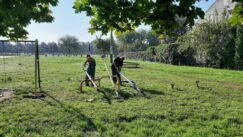 Zrenjanin: Popravljaju se dečja igrališta 3